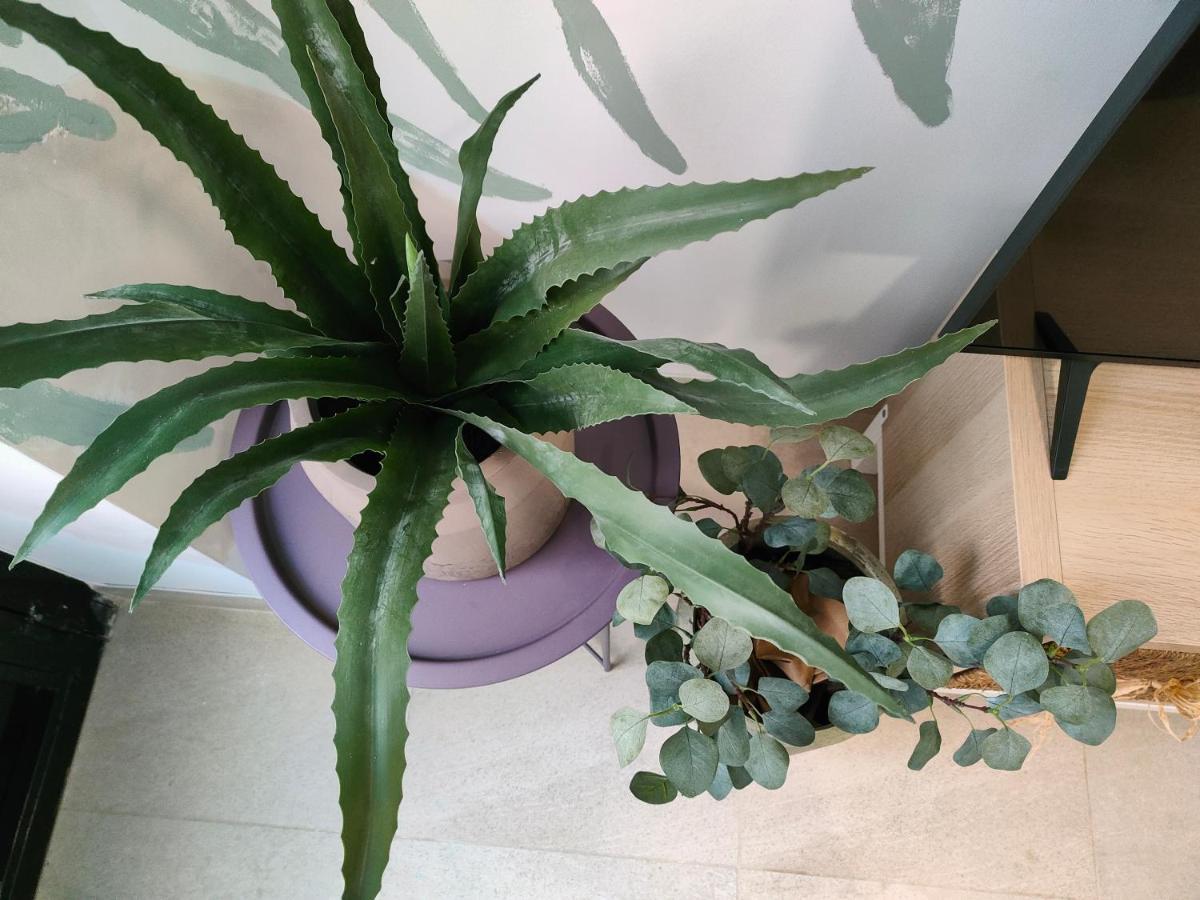 Hola Apartament لقنت المظهر الخارجي الصورة